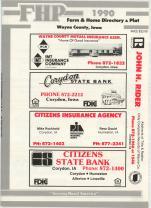Wayne County 1990 